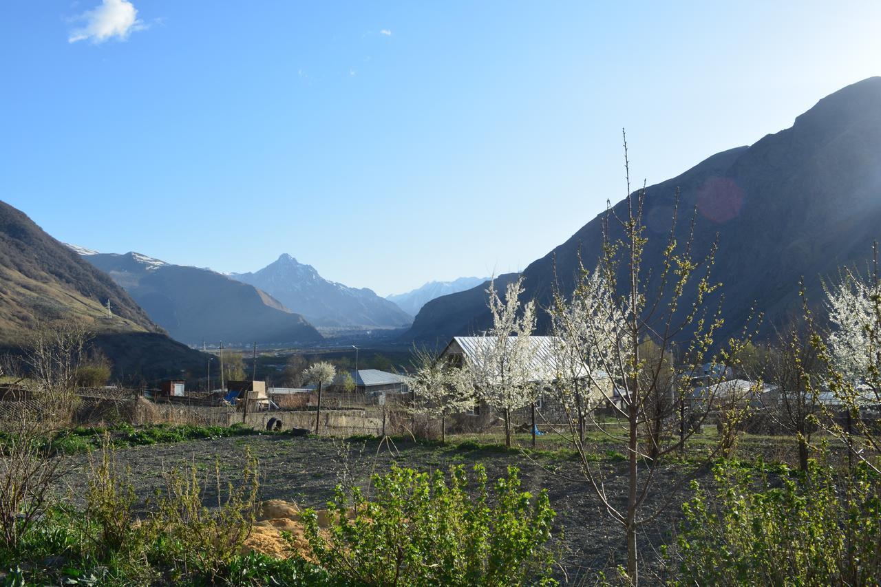 Ekaterine Guest House Kazbegi Exteriör bild